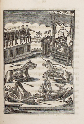 Сказка полная о славном, сильном, храбром и непобедимом витязе Бове королевиче и о прекраснейшей супруге его королевне Дружневне. М.: Изд. книгопродавца Шарапова, 1878.